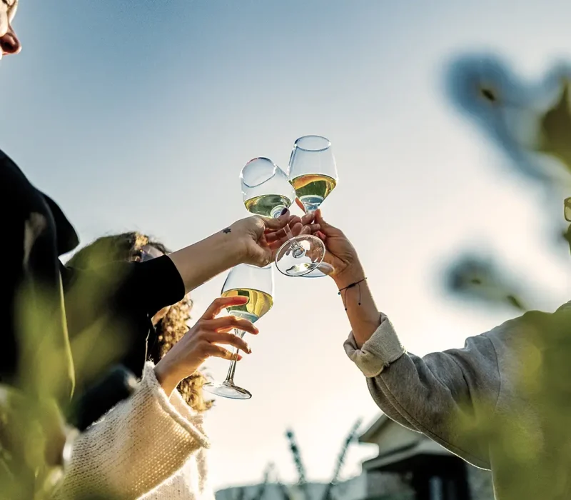 th_gallery_sunset_wine Turunç House Sunset Wine